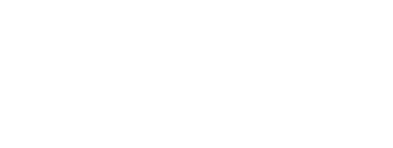 TT Visa Logo White